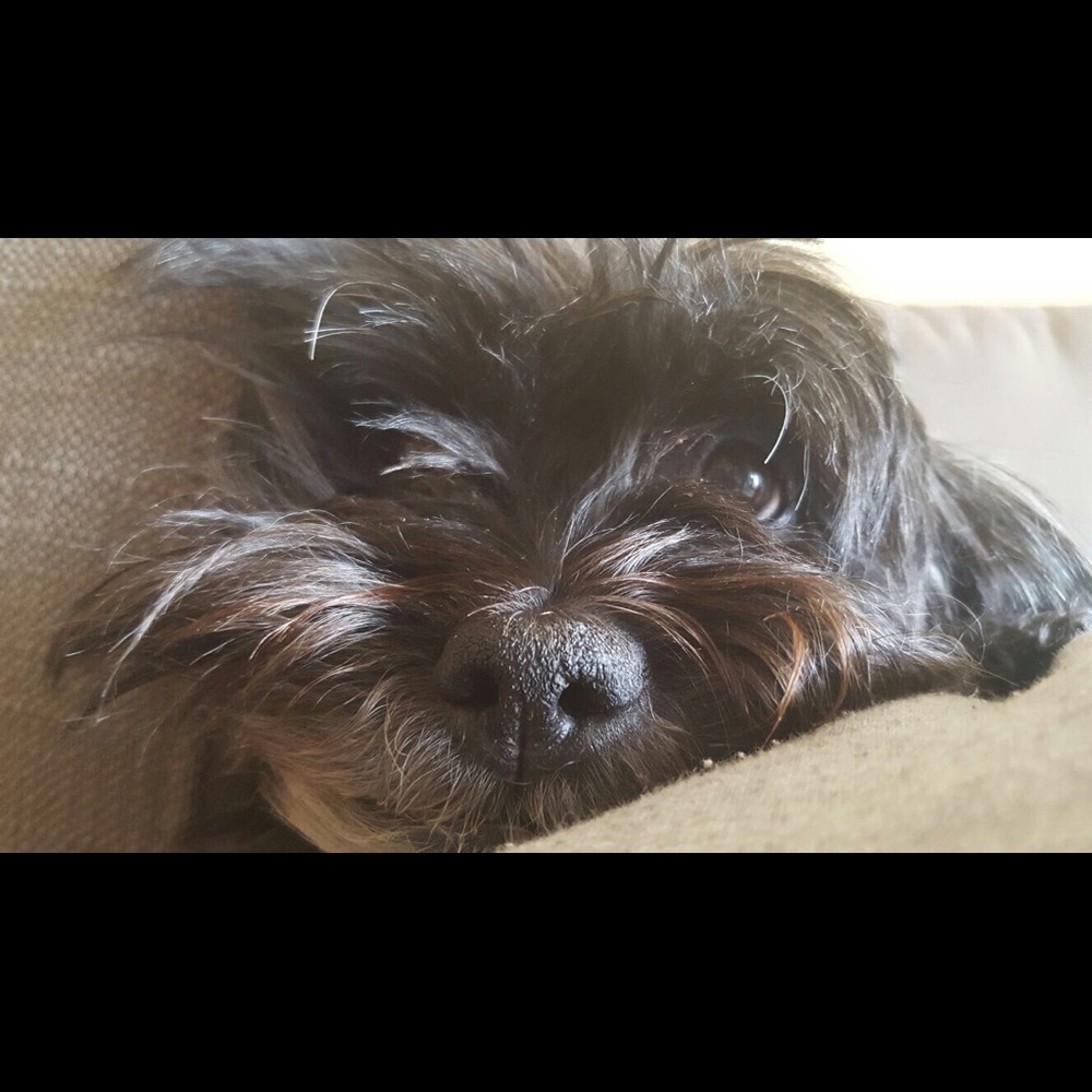 Meet your Posher, Yo